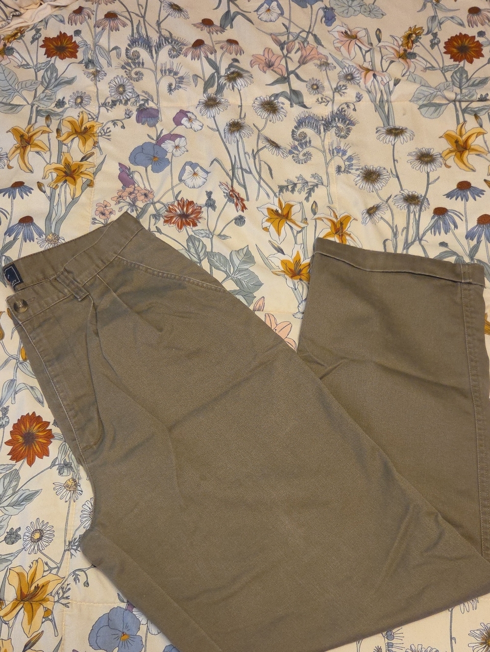 Route 66 Men's Chino Pants in Olive